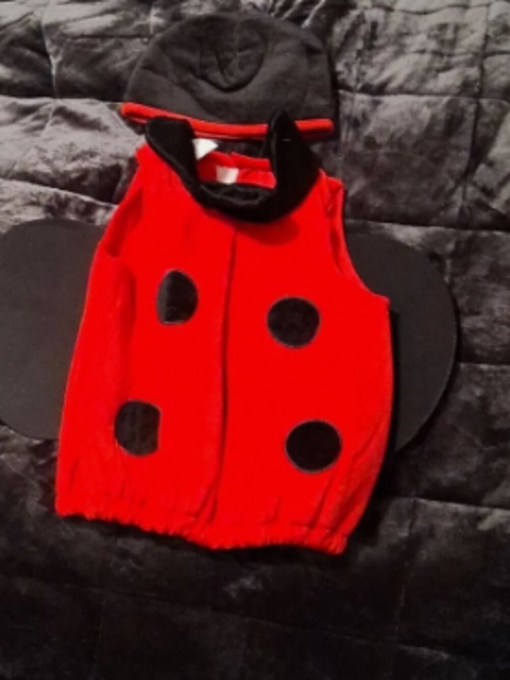 Vintage Baby Ladybug Halloween Costume Vest with Hat and Wings
